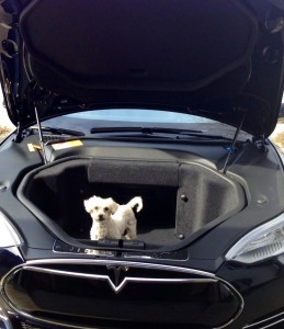 Hey! This car is puppy powered!
